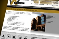 Williams & Associates Website